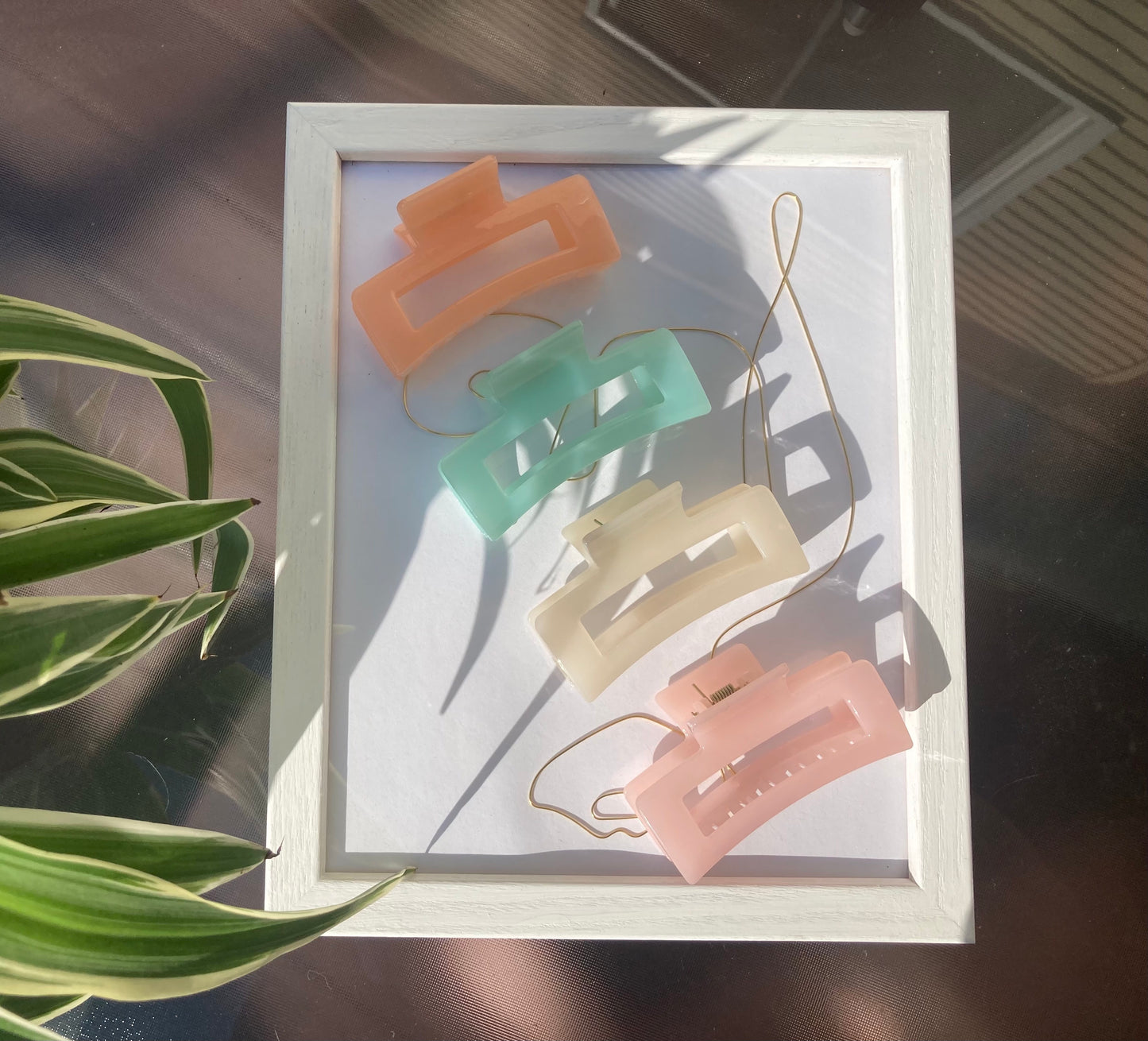 Colorful Claw Clip