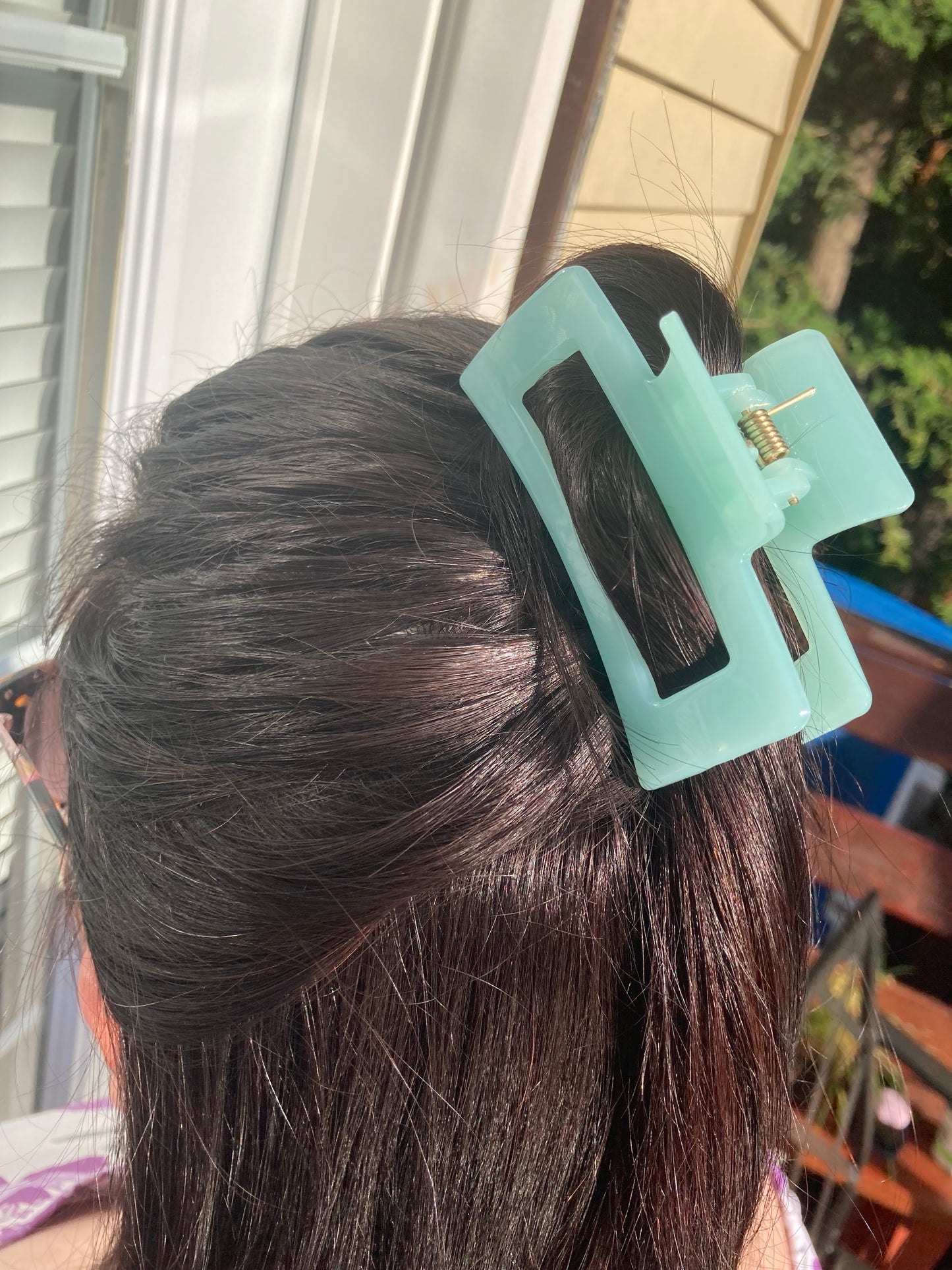 Colorful Claw Clip